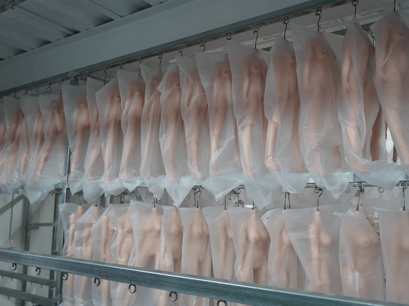 Sealed with Care, Waiting to Meet You